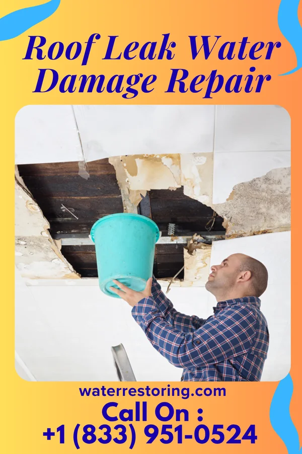 Roof Leak Water Damage Repair in Jacksboro, TN